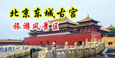 久久美女尿尿视频中国北京-东城古宫旅游风景区